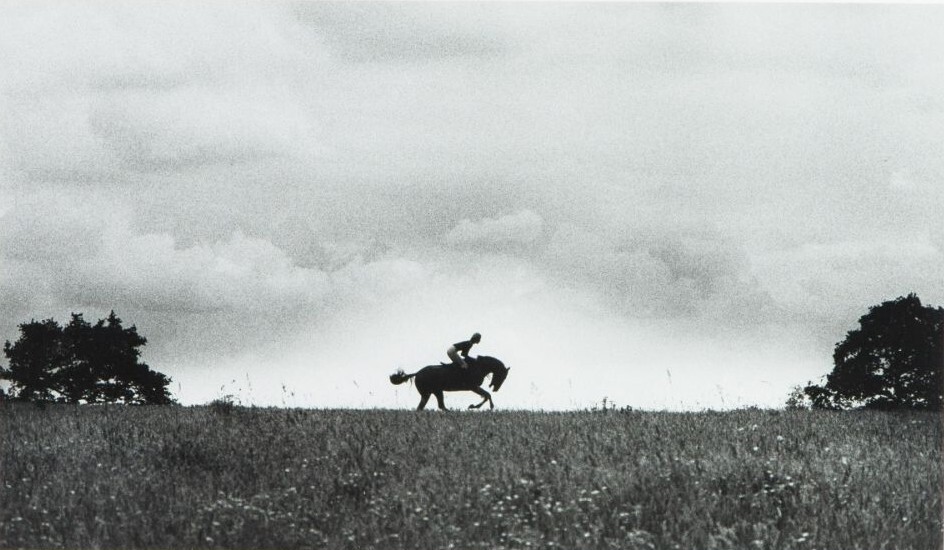 Силуэт скаковой лошади и жокея. Фотограф Патрик Личфилд