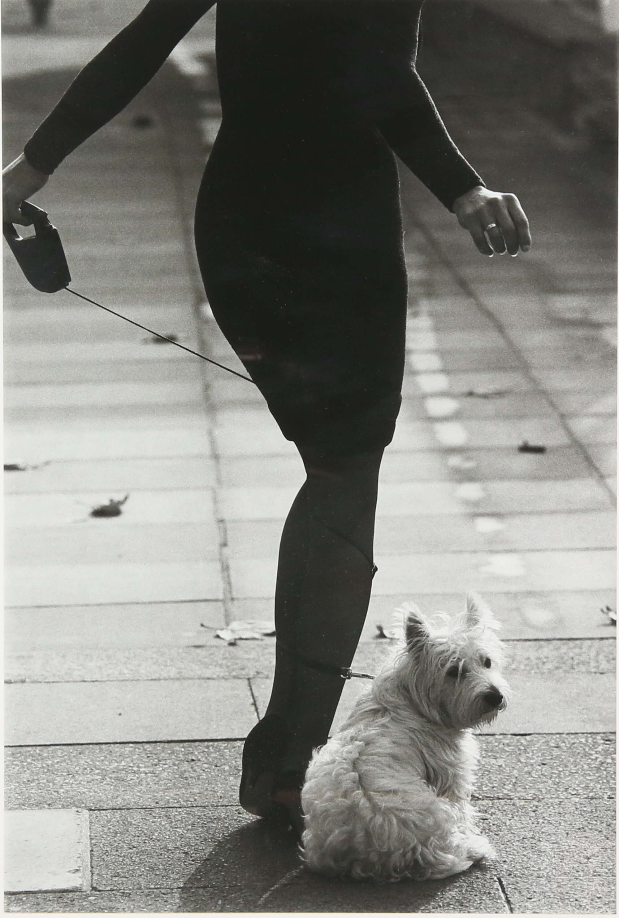Женщина с собачкой. Фотограф Патрик Личфилд