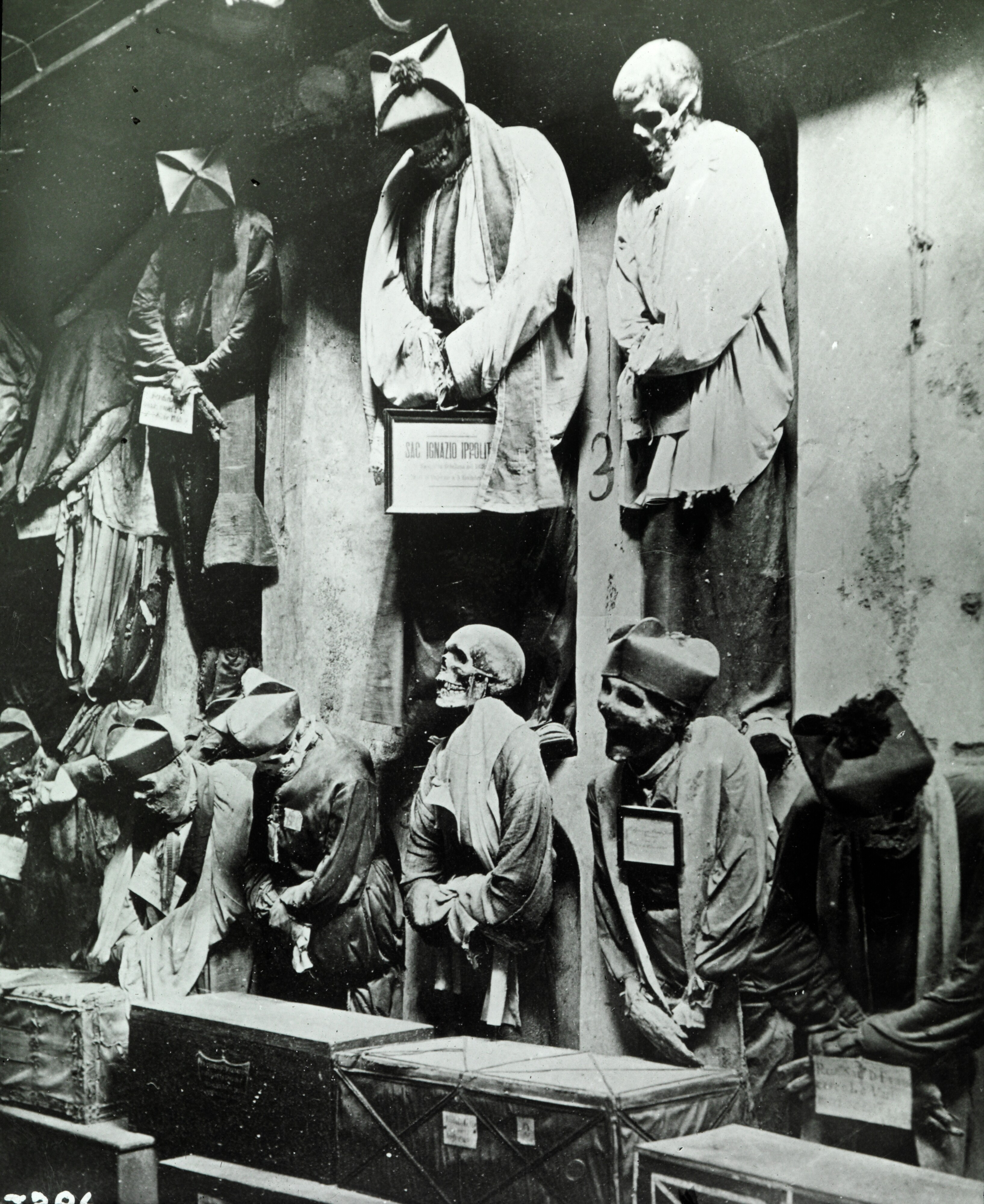 Катакомбы капуцинов, Италия, 1890 – 1910. Фотограф Северин Ворм-Петерсен