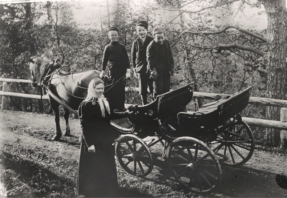 Три мальчика на конной повозке и женщина. Пасвик, Норвегия. Фотограф Эллизиф Ранвейг Вессель