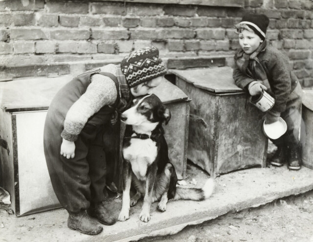 Дети с собакой во дворе, 1949. Фотограф Ukjent