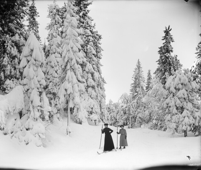 Зима, заснеженные деревья и две лыжницы. Фрогнерсетерен, Норвегия, 1906. Фотограф Северин Ворм-Петерсен