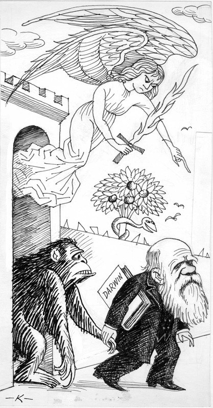 Эволюция. Карикатурист Тибор Каян