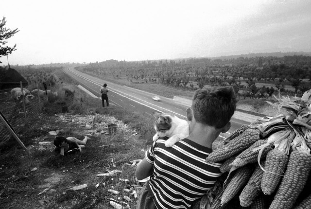 Автострада дель Соле, открытие маршрута Рим-Флоренция, 1962 год. Фотограф Паоло Ди Паоло