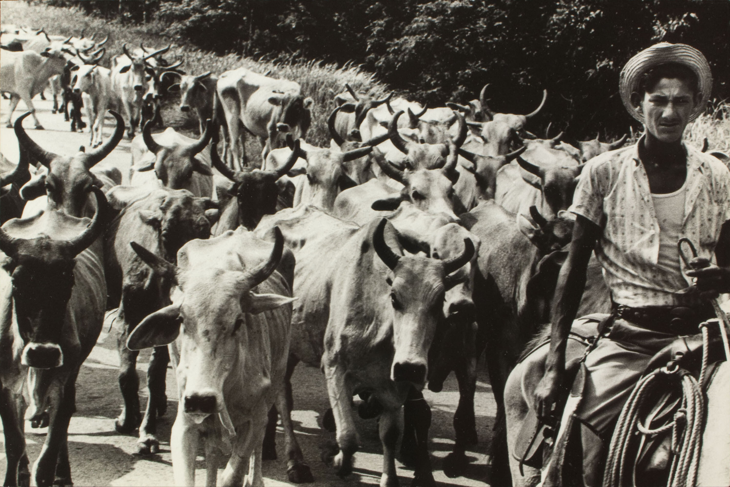 Куба, 1967. Фотограф Ориоль Маспонс