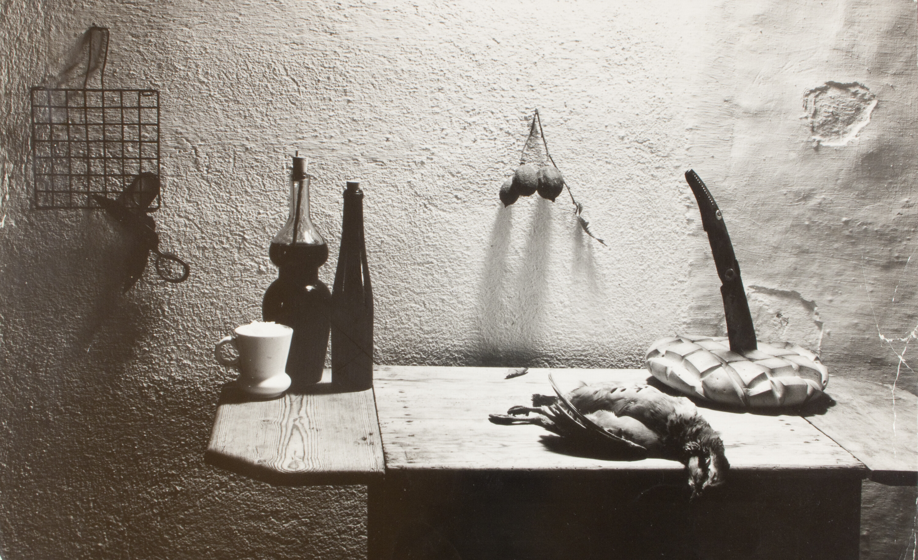 Для книги La caza de la perdiz roja (Охота на красную куропатку) Мигеля Делибеса, 1962. Фотограф Ориоль Маспонс