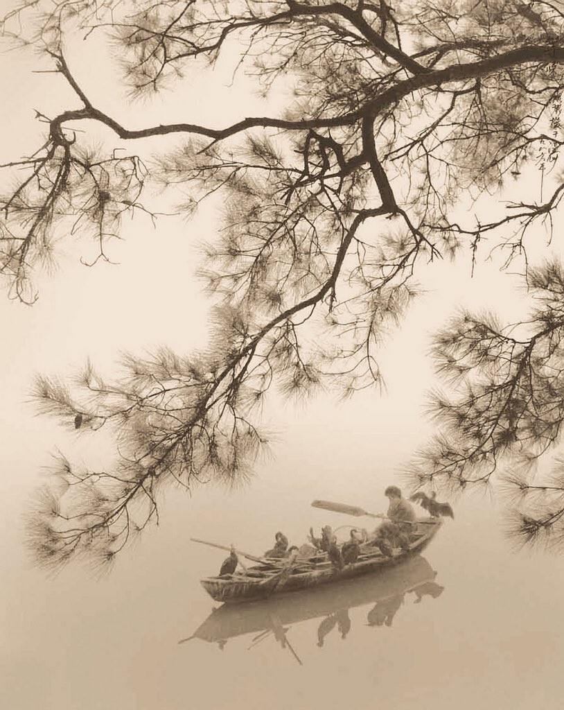 Рыбалка с бакланами. Автор Дон Хонг-Оай