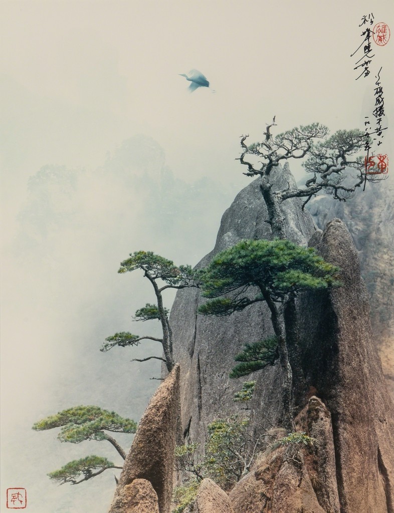 Сосновый пик, Жёлтые горы, 1984. Автор Дон Хонг-Оай