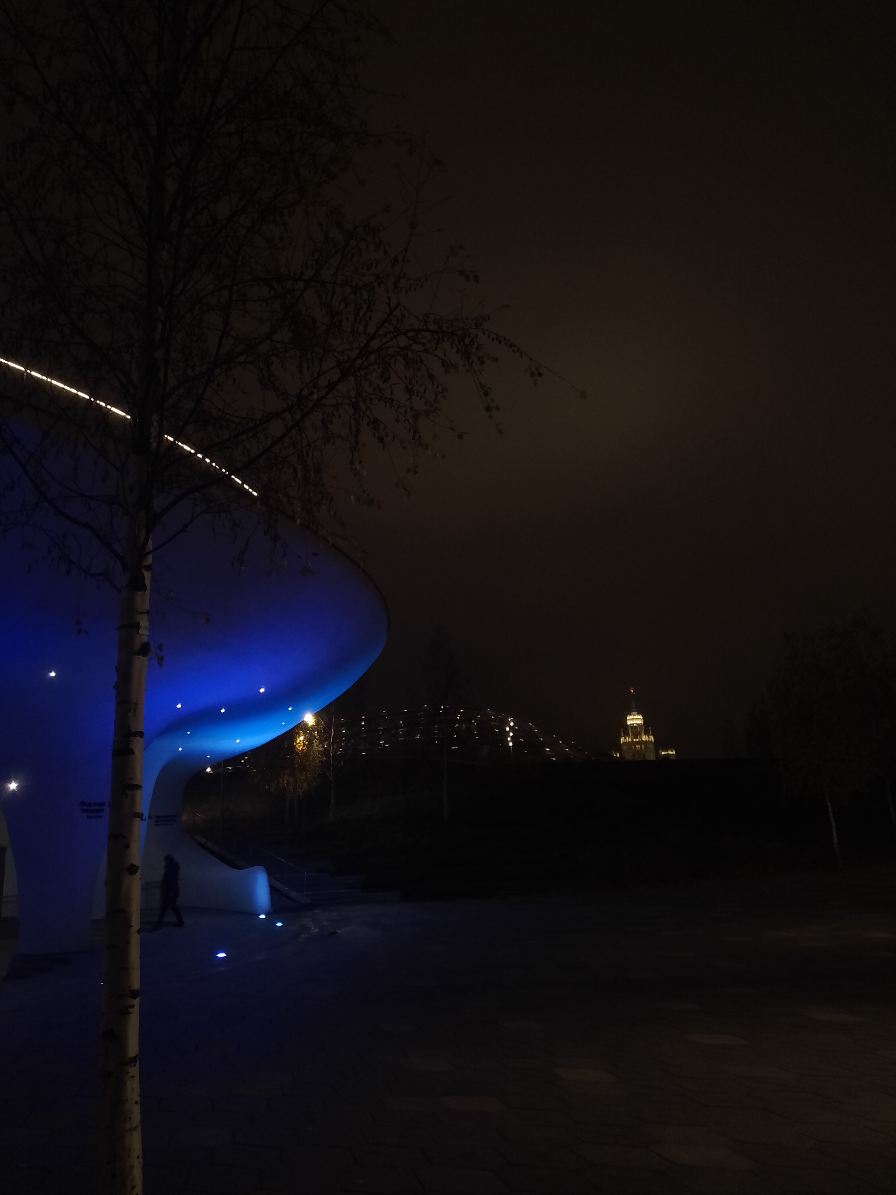 November evening in Zaryadye Park, Moscow 