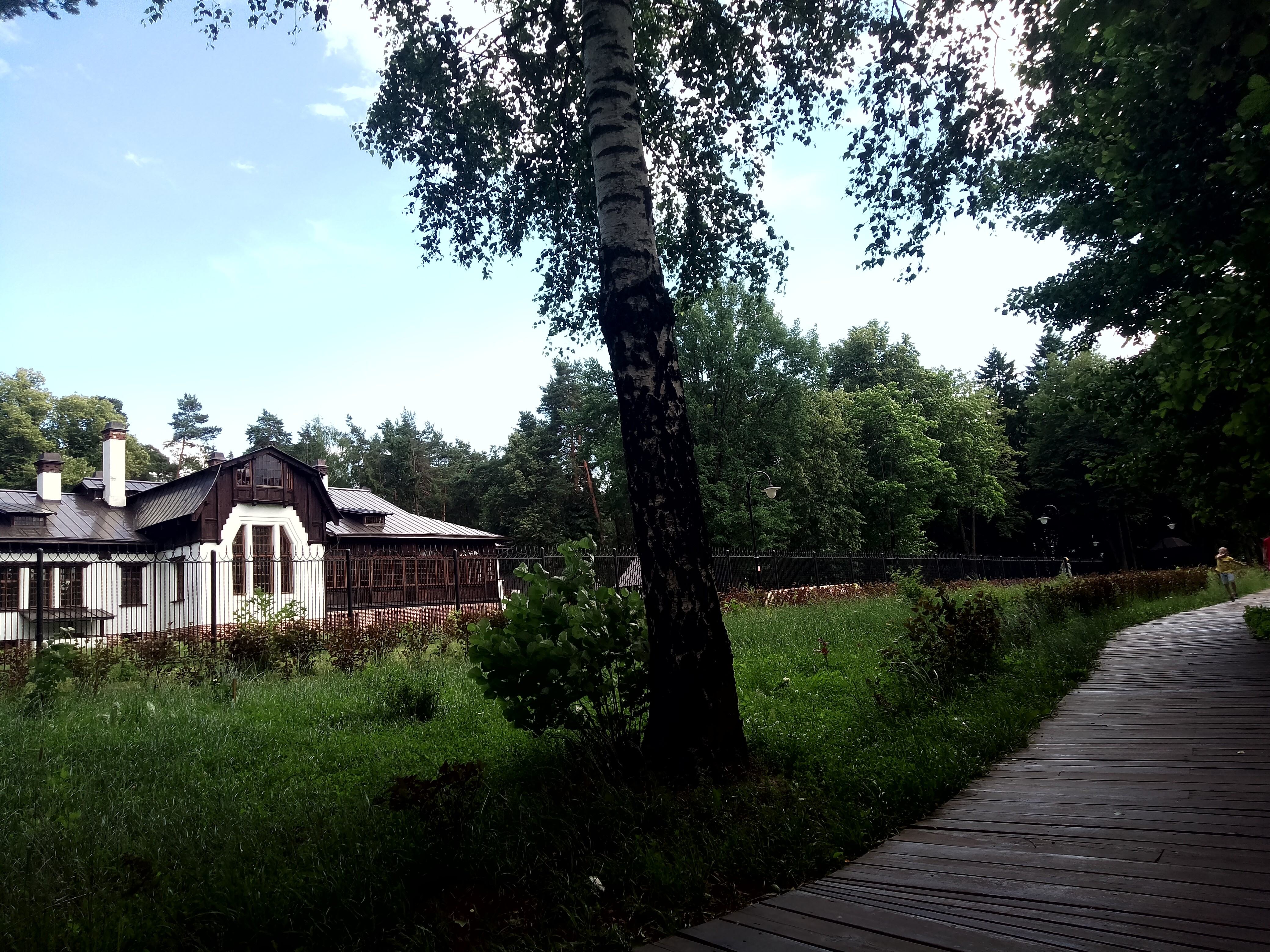 Summertime June Vibe nerby the manor in Moscow oblast 
