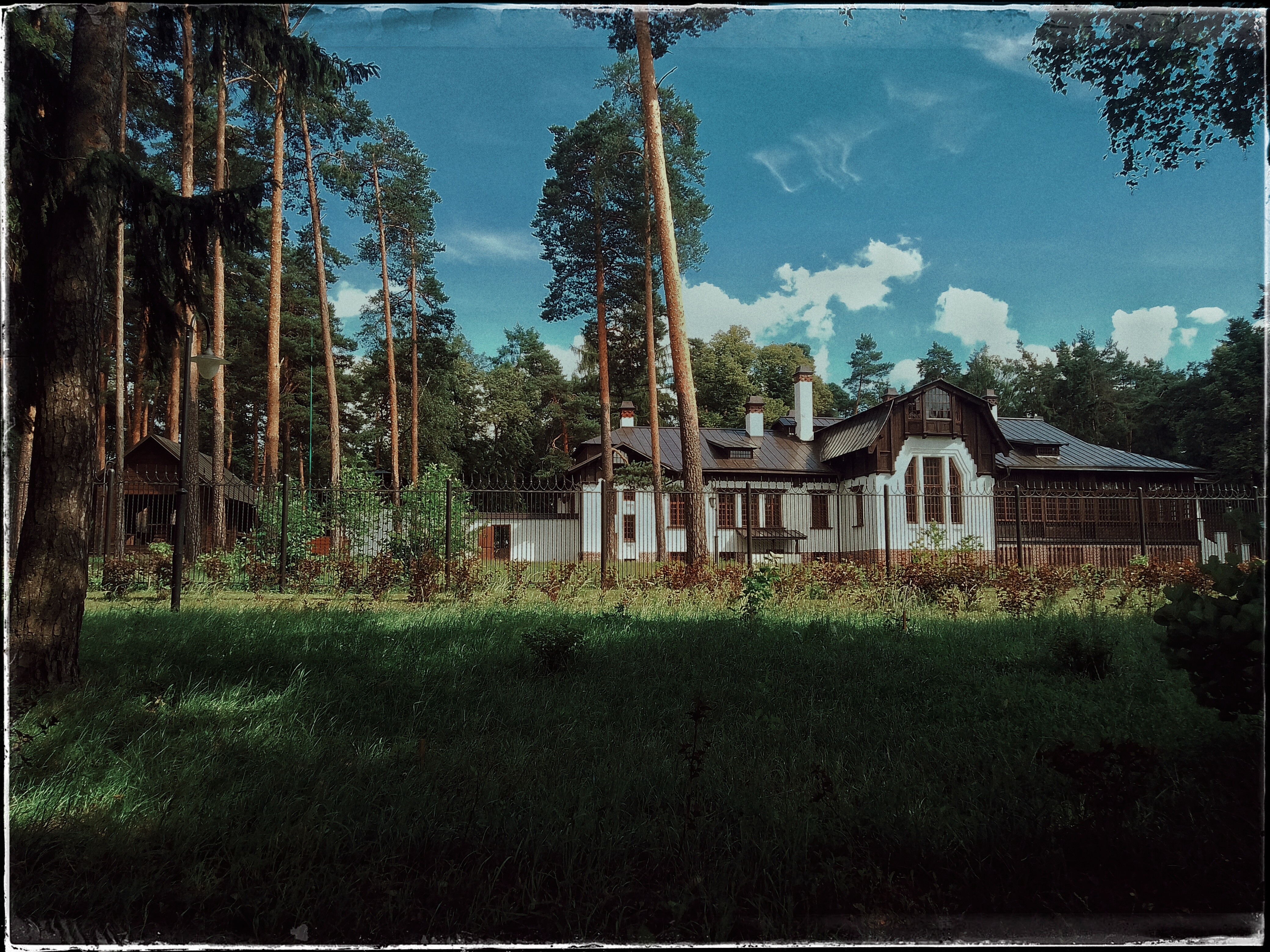Pleasure for Shishkin art lovers. Manor among the trees 