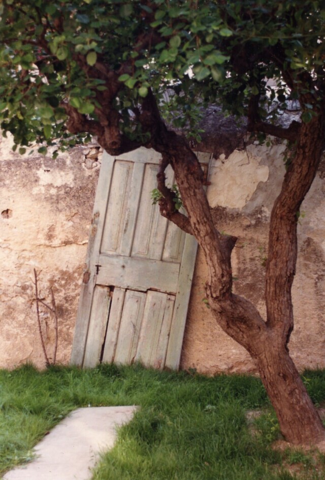 Прованс, 1990 год. Фотограф Дороти Бом