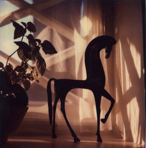 Полароид, 1980 год. Фотограф Дороти Бом