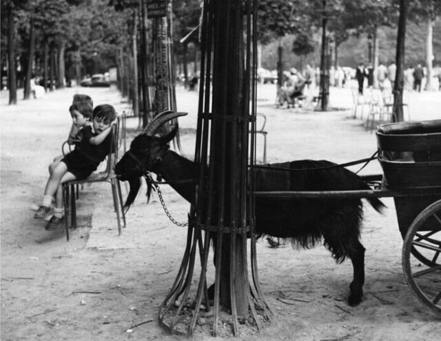 Париж, 1953 год. Фотограф Дороти Бом