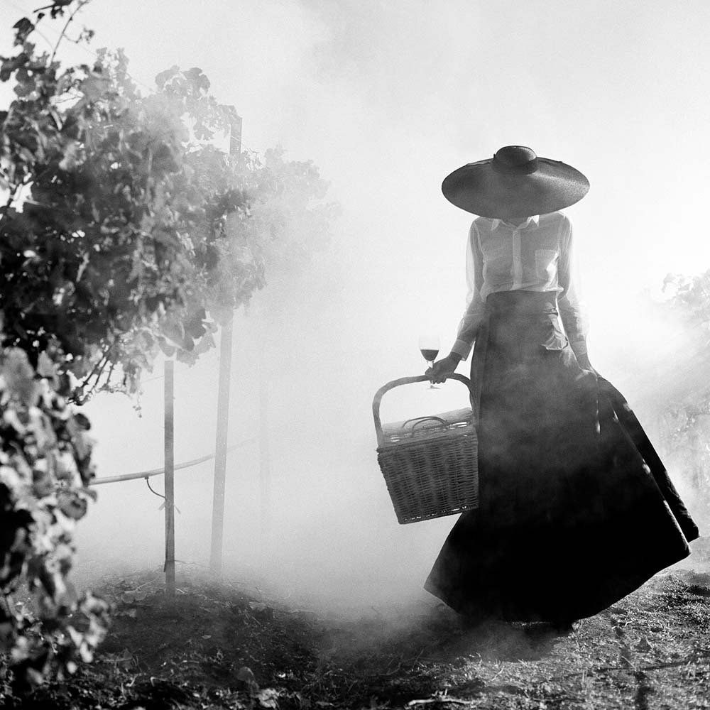 Женщина, идущая через виноградник, Напа, Калифорния, 1998. Автор Родни Смит
