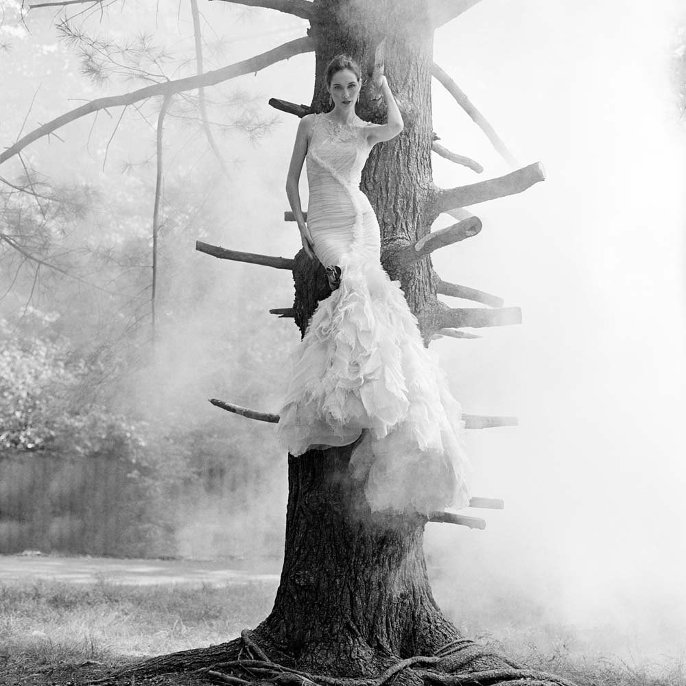 Флинн, сидящая на дереве, Нью-Йорк, 2012. Автор Родни Смит