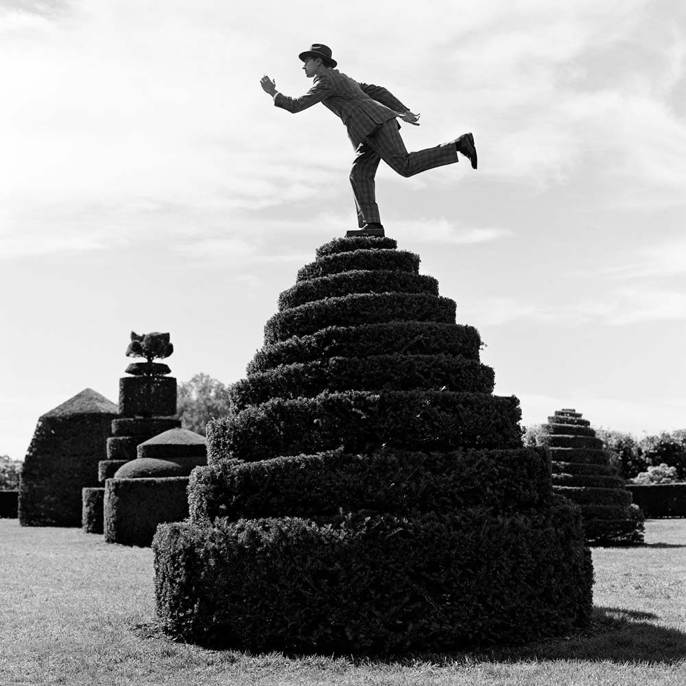 Рид, балансирующий на кусте в Лонгвуд Гарденс, Пенсильвания, 2013. Автор Родни Смит