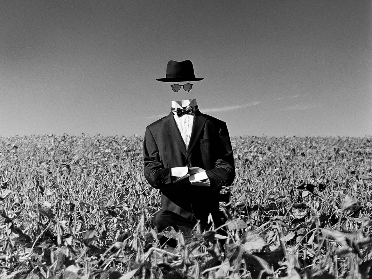 Человек-невидимка в поле, Амениа, Нью-Йорк, 2014. Автор Родни Смит