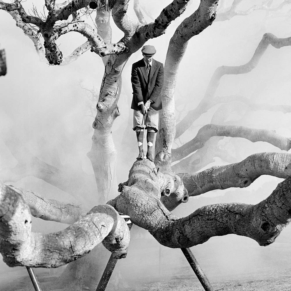 Дэниел на дереве в тумане, Пеббл-Бич, Калифорния, 1998. Автор Родни Смит