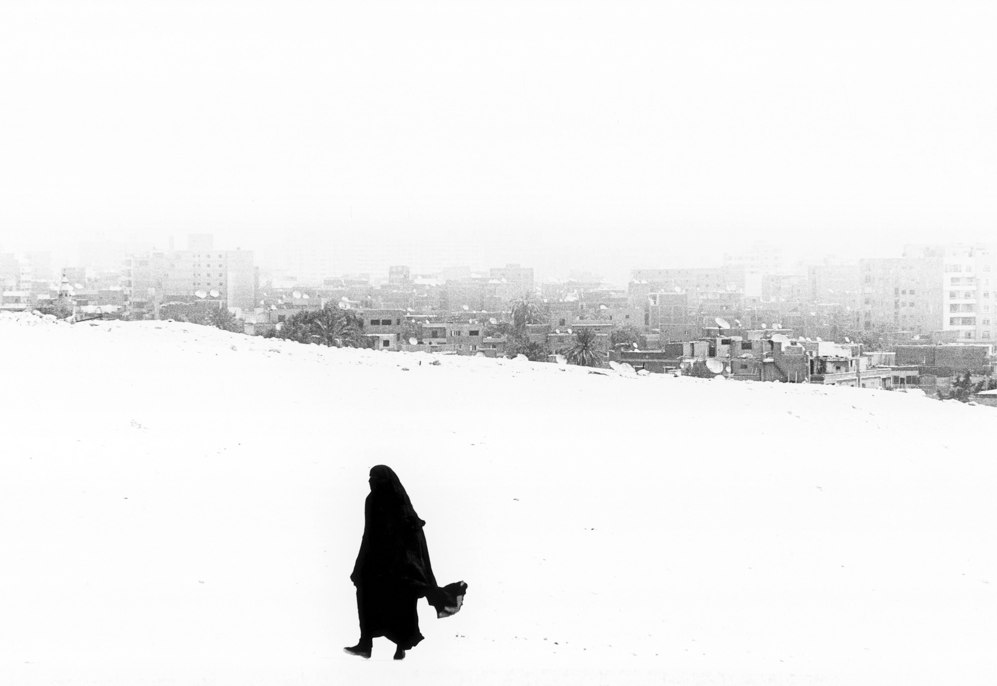 Зима. Автор Уолтер Ротуэлл