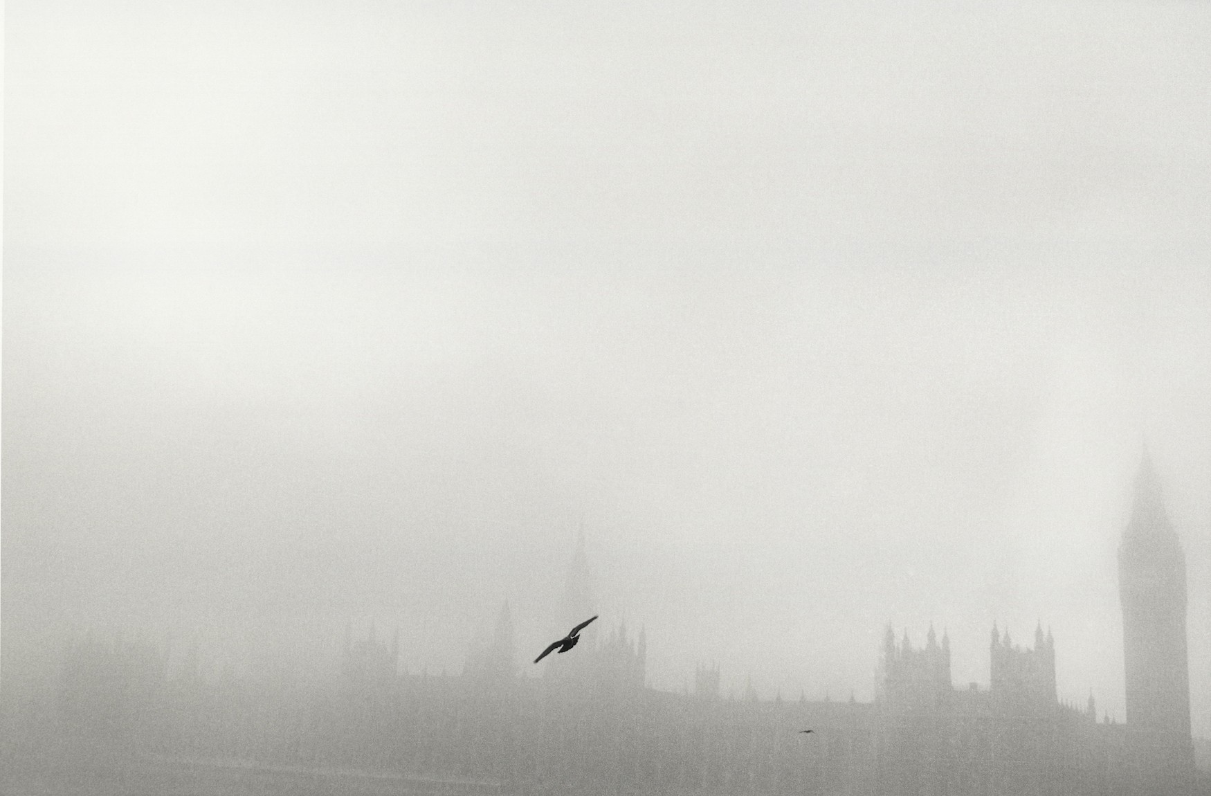 Вестминстерский дворец в тумане, Лондон. Автор Уолтер Ротуэлл