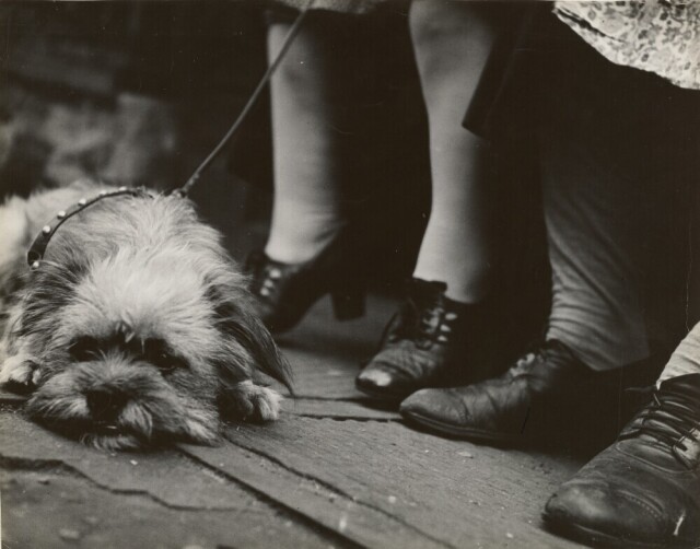 Ист-Сайд, 1945 год. Фотограф Лизетта Модел