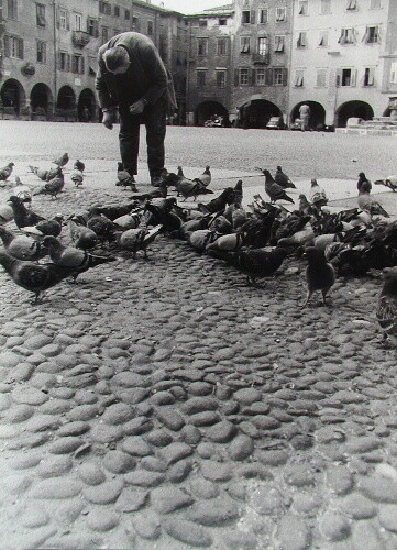 Рим, мужчина кормящий голубей. Фотограф Лизетта Модел