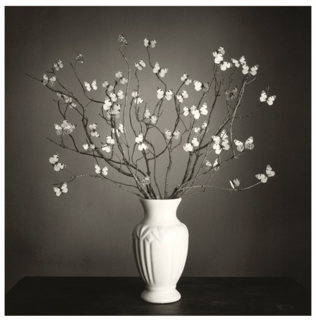 Vase.  Posted by Chema Madoz