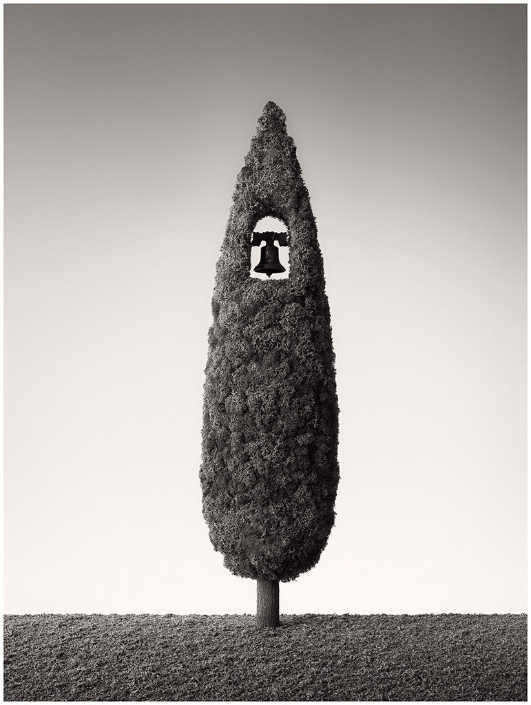 Дерево с колоколом, 2018. Автор Чема Мадоз