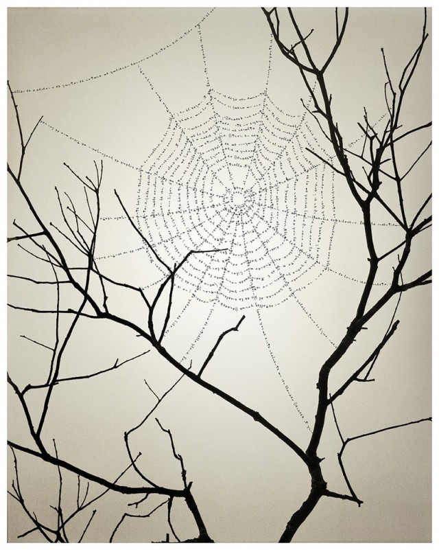 Web of Words, 2012. Posted by Chema Madoz