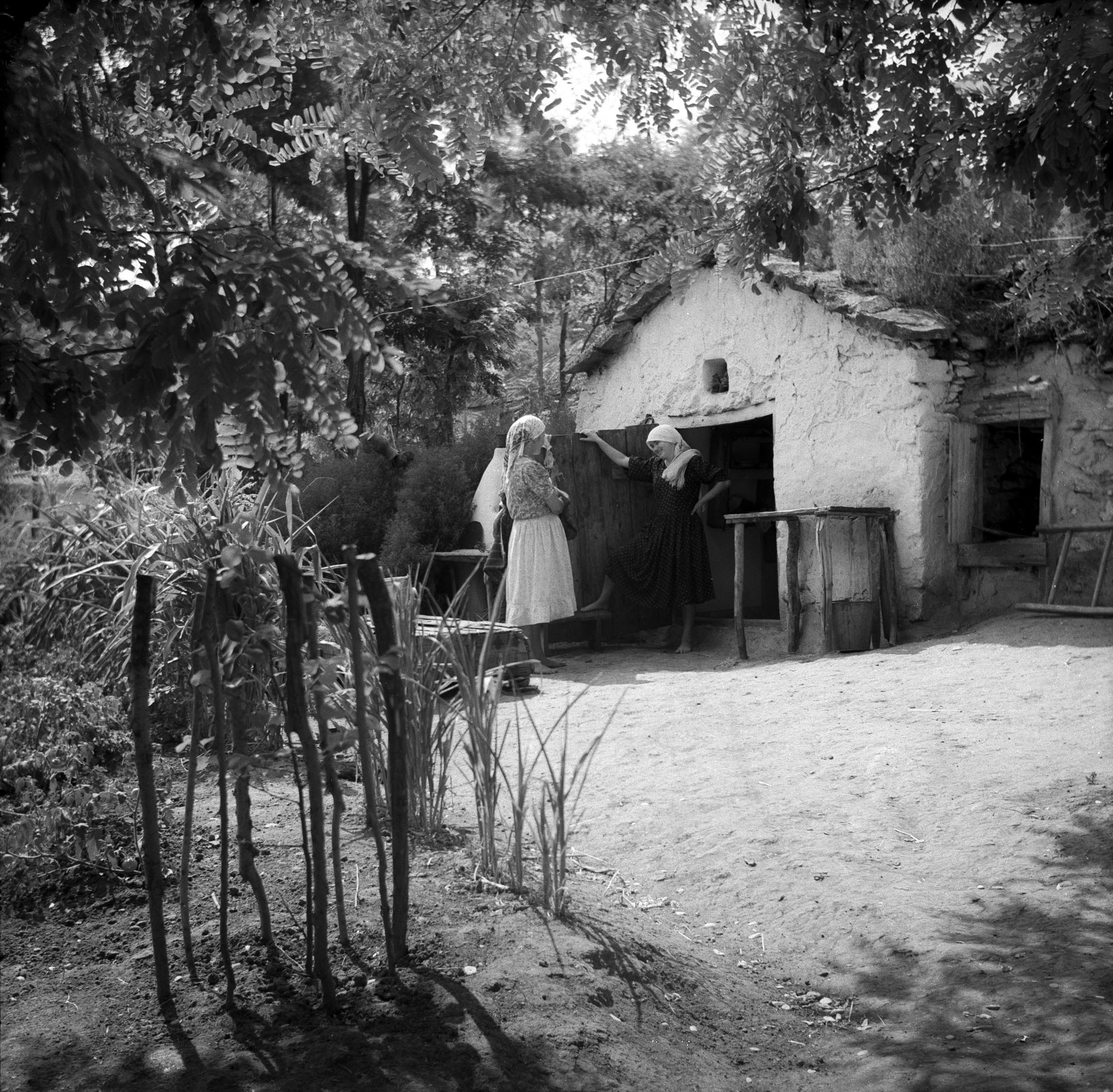Архив сельского фотографа Захарии Кушнира (40)
