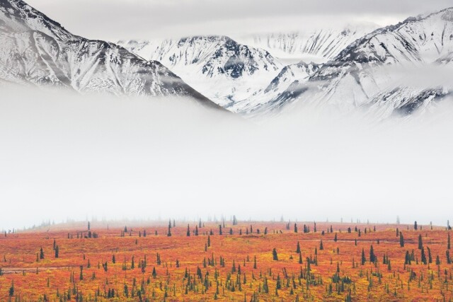 Главный победитель Travel Photographer of the Year 2021. Национальный парк Денали, Аляска, США. Фотограф Фортунато Гатто
