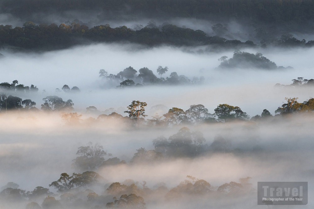 Облака и деревья в долине Данум на Борнео в Малайзии. Победитель в категории Юный туристический фотограф года 15-18 лет, 2019. Автор Анкит Кумар (16 лет)