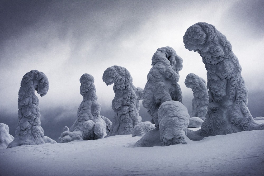 Замёрзшие деревья в финской Лапландии. 2 место в категории Искусство путешествий, 2019. Автор Игнасио Паласиос