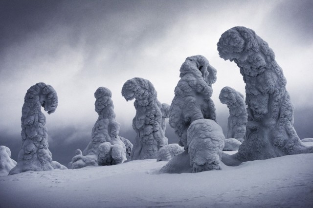 Замёрзшие деревья в финской Лапландии. 2 место в категории «Искусство путешествий», 2019. Автор Игнасио Паласиос