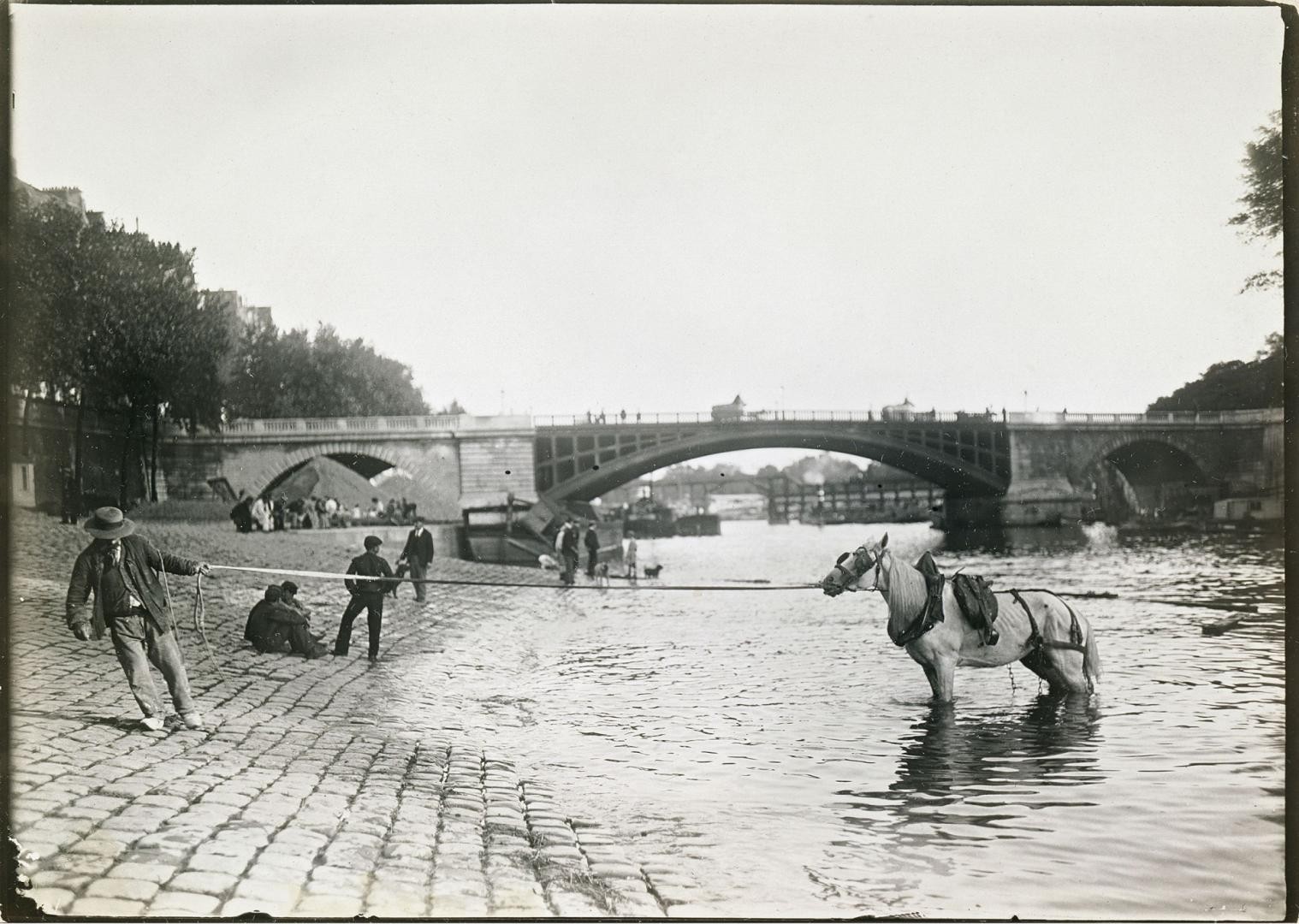 Купание лошадей в Сене у моста Сюлли, Париж, 1895-1905. Автор Поль Женью (Paul Géniaux)