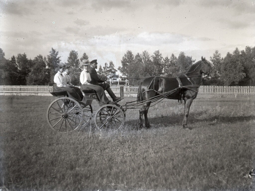 Лошадь запряженная в повозку, 1890-е годы. Фотограф Борис Востряков