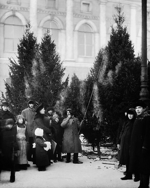 Елочный базар в саду Аничкова дворца, 1913 год. Фотограф Карл Булла
