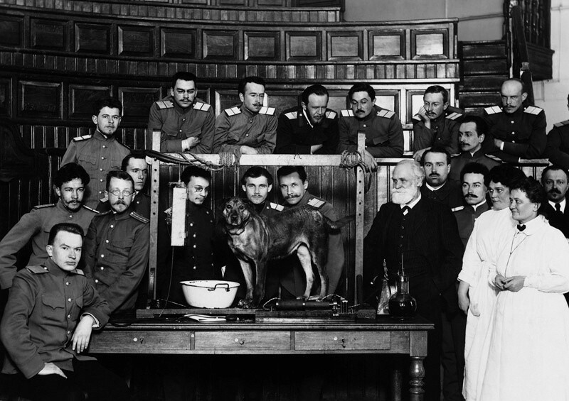Физиолог Иван Павлов с сотрудниками, 1910-е годы. Фотоателье Карла Буллы