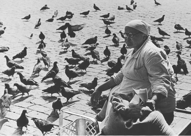Голуби, продащица семечек, 1965 год. Фотограф Виктор Ахломов