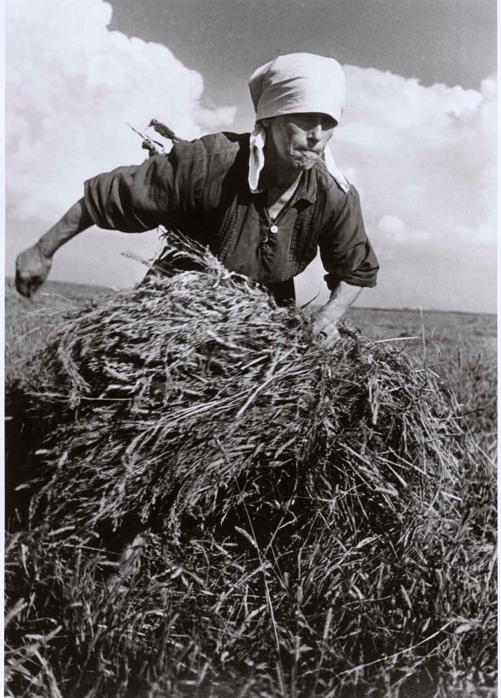 Женщина собирает тюк сена в колхозе, Актау, СССР, август 1947 год. Фотограф Роберт Капа