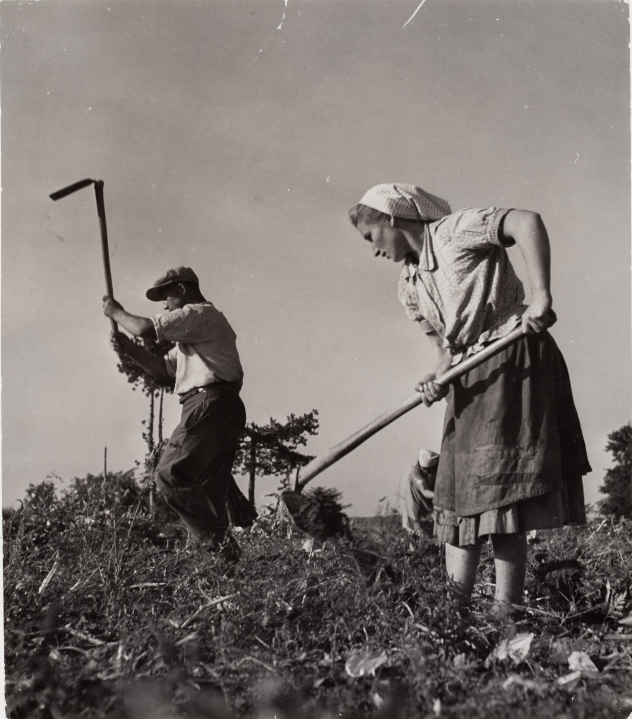 Колхозники, СССР, 1947 год. Фотограф Роберт Капа