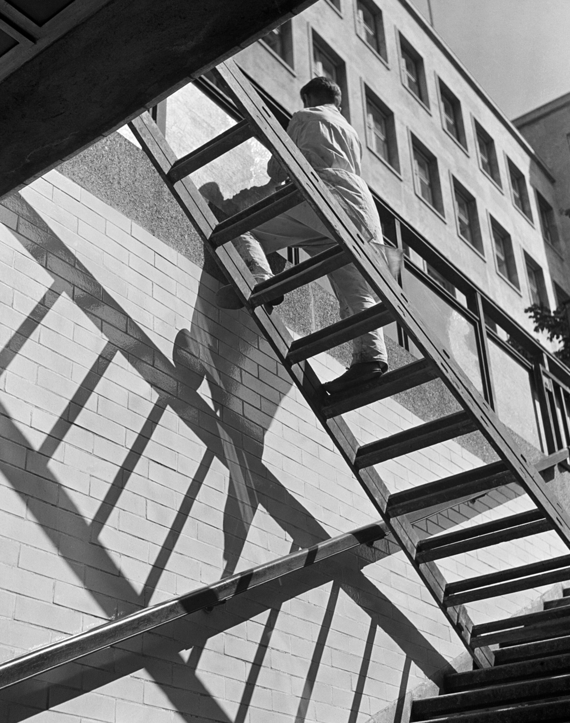 Мойщик окон балансирует на лестнице, Берлин, середина 1930-х годов. Фотограф Роман Вишняк