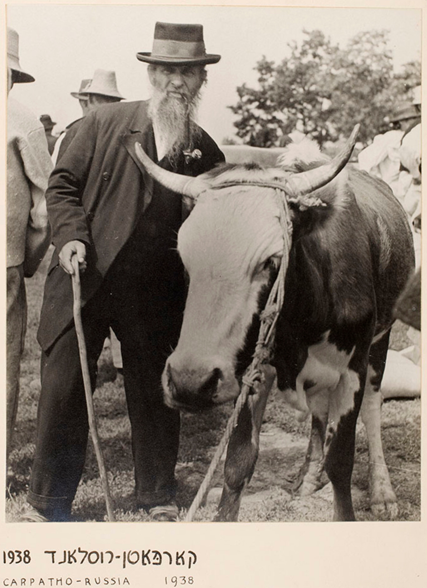 Продавец скота на открытом рынке, Чуст, Подкарпатская Русь, ок. 1935-38 гг. Фотограф Роман Вишняк