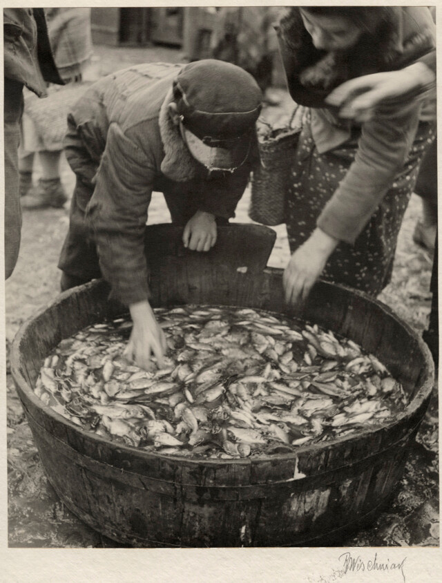 Рыба - излюбленная пища для кошерного стола, Восточная Европа., ок. 1935-38 г. Фотограф Роман Вишняк