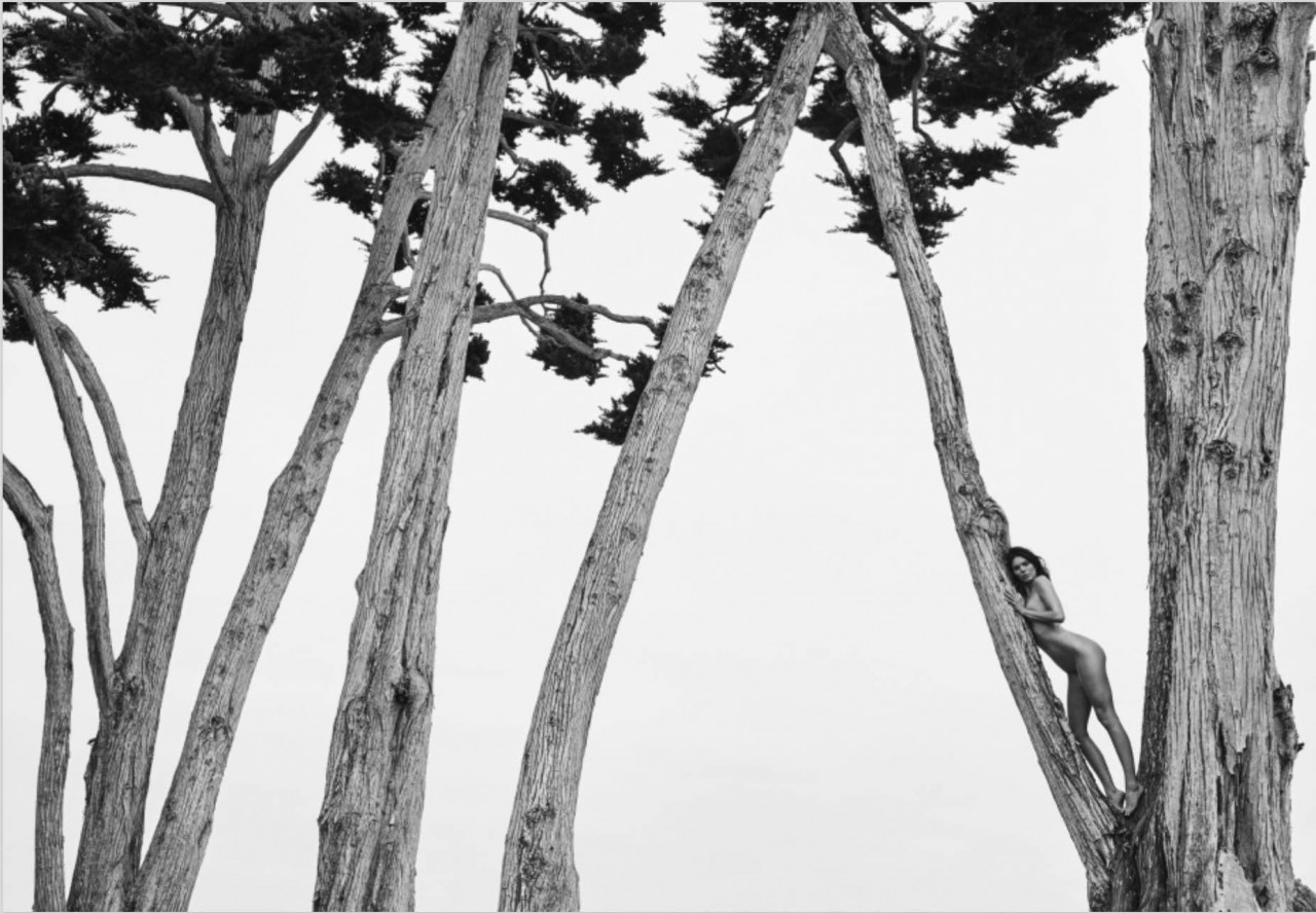 Кендалл Дженнер на дереве. Автор Расселл Джеймс