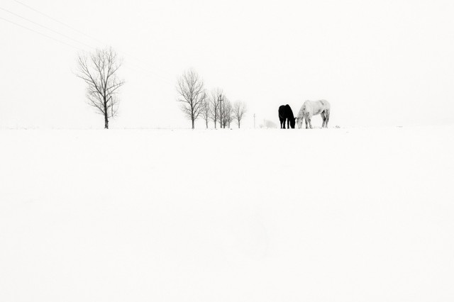 «Зимнее хайку». Автор Андрей Бачу (25)