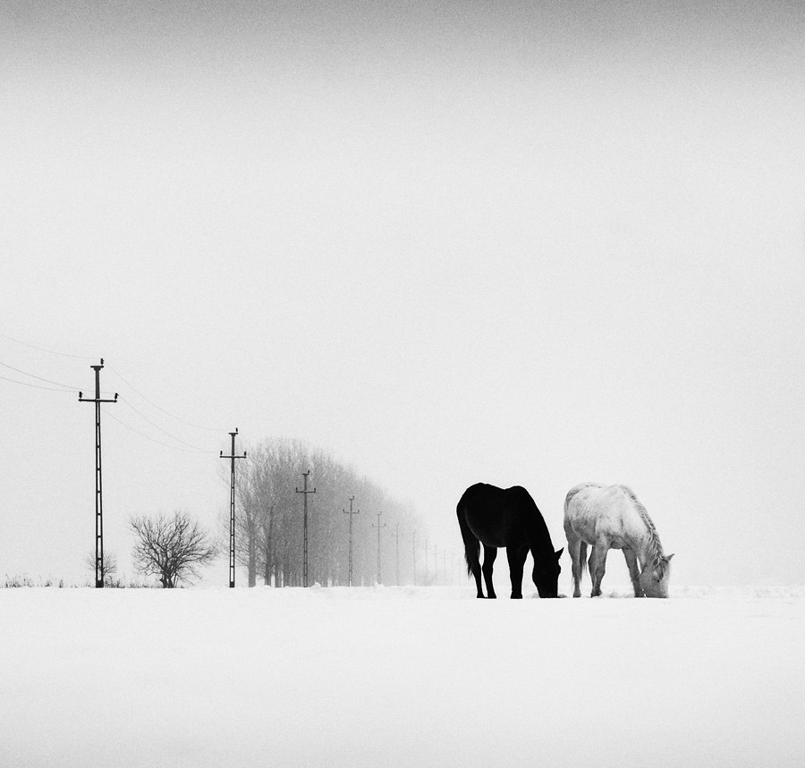 «Зимнее хайку». Автор Андрей Бачу (5)