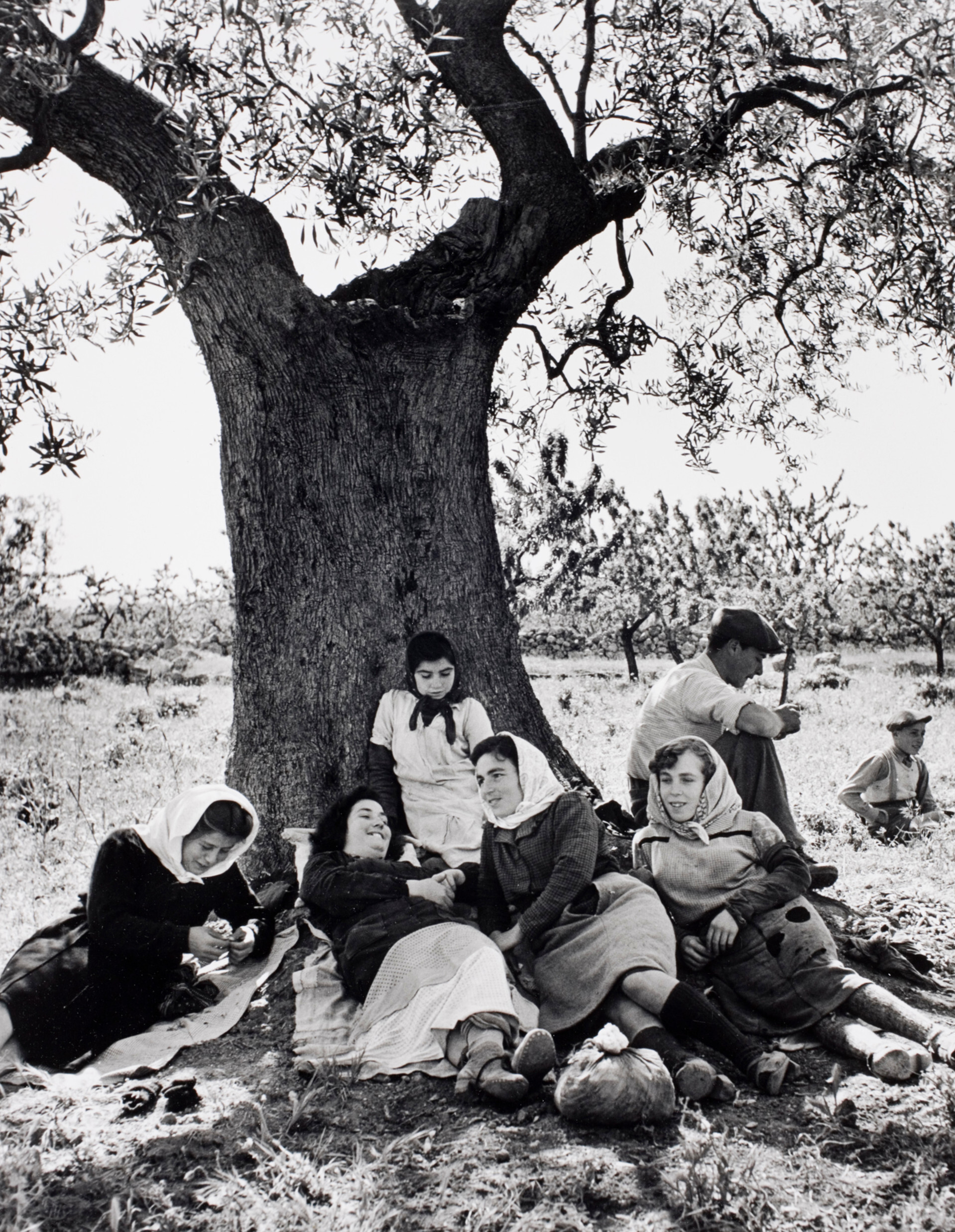 Сиеста крестьян во время сбора урожая в Южной Италии, 1947 год. Фотограф Альфред Эйзенштадт