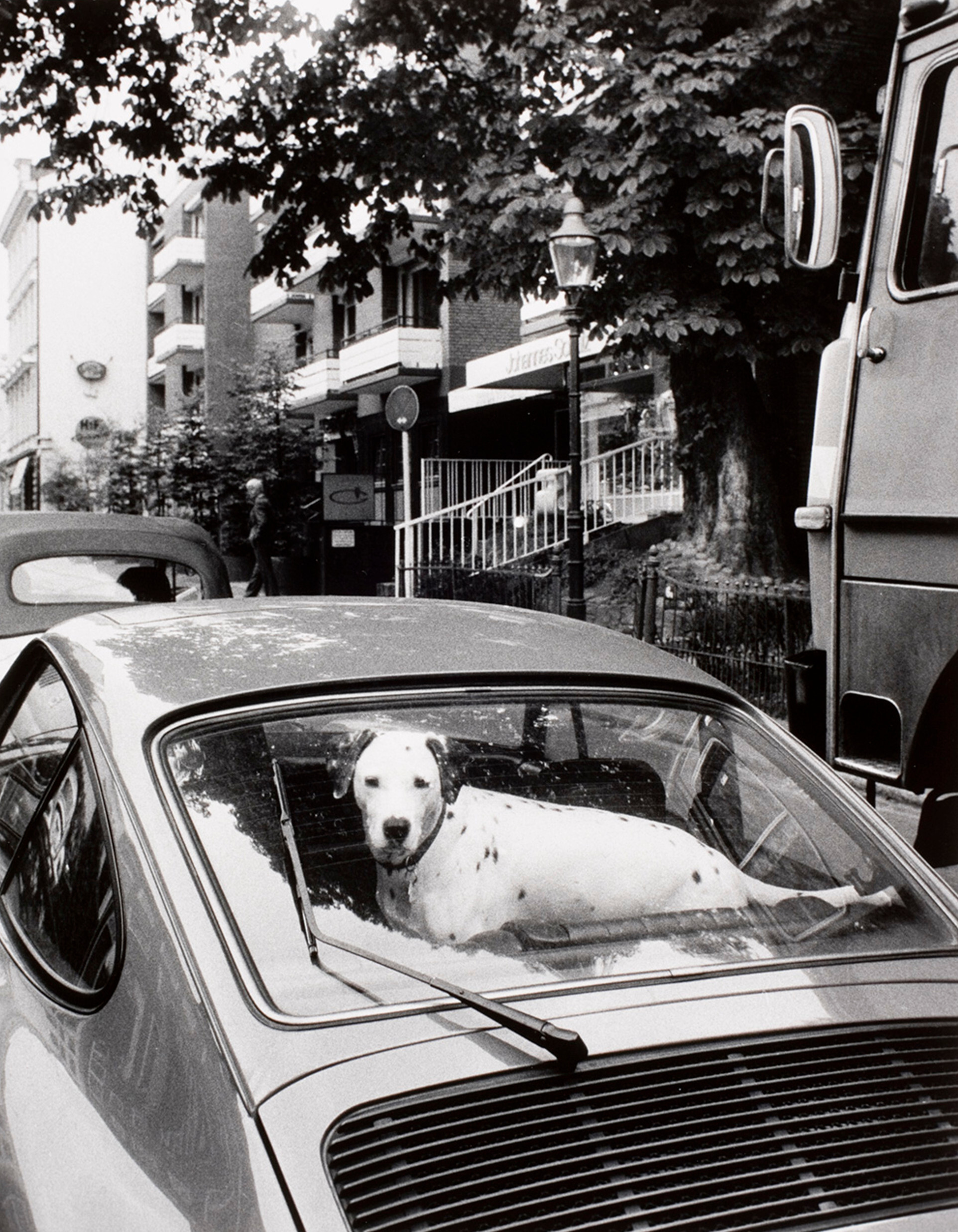 Далматин в Porsche, Розельдорф, Гамбург, 1980 год. Фотограф Альфред Эйзенштадт